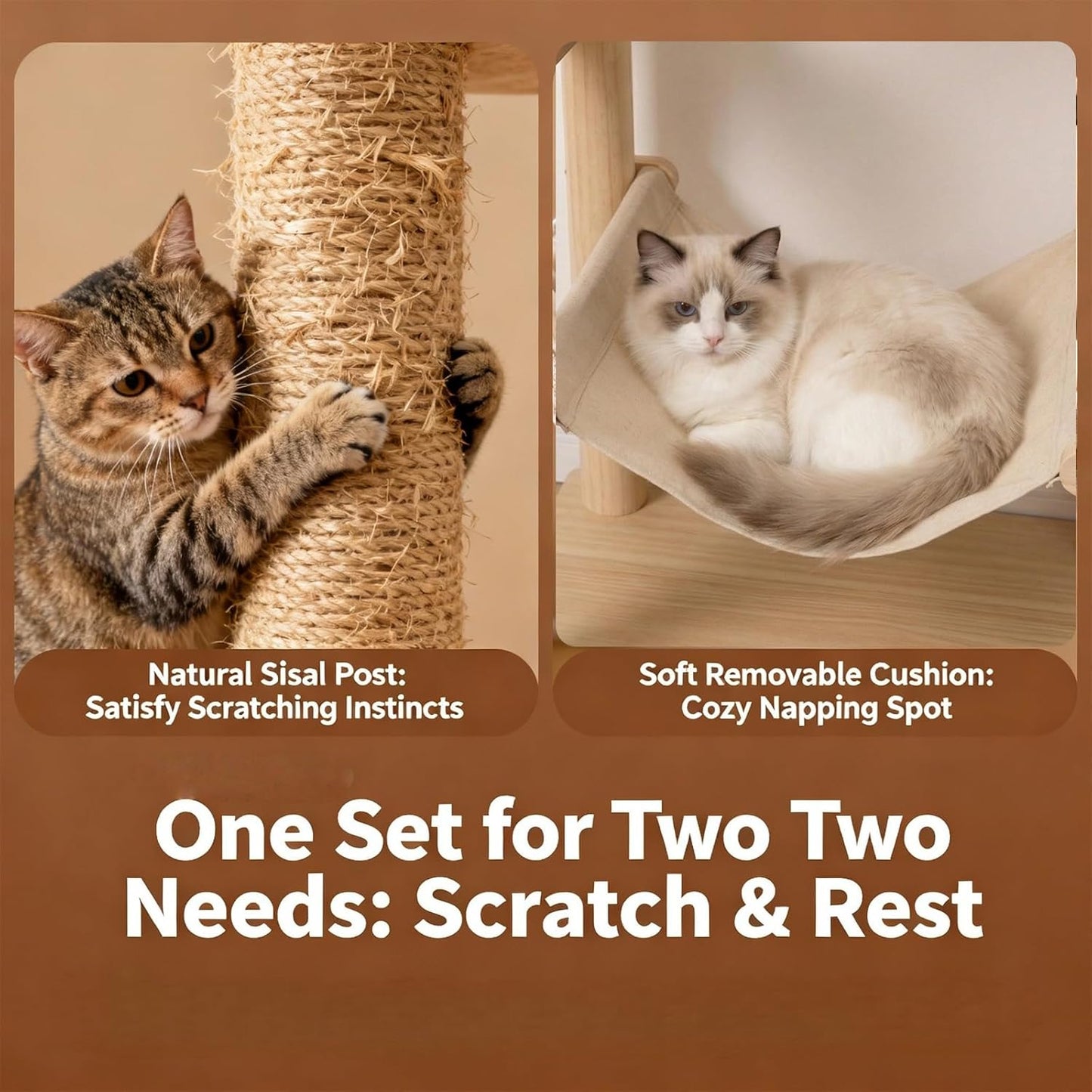 Katzen-Kletterwand-Set