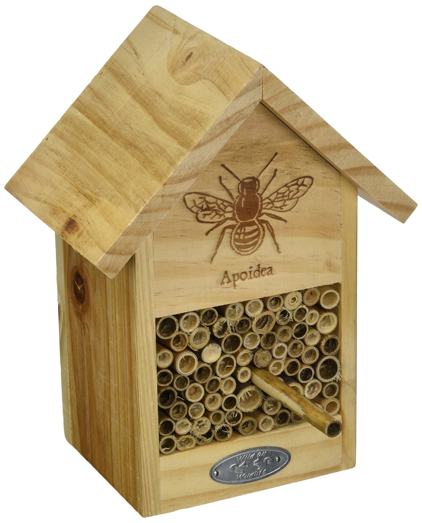 Bienenhaus