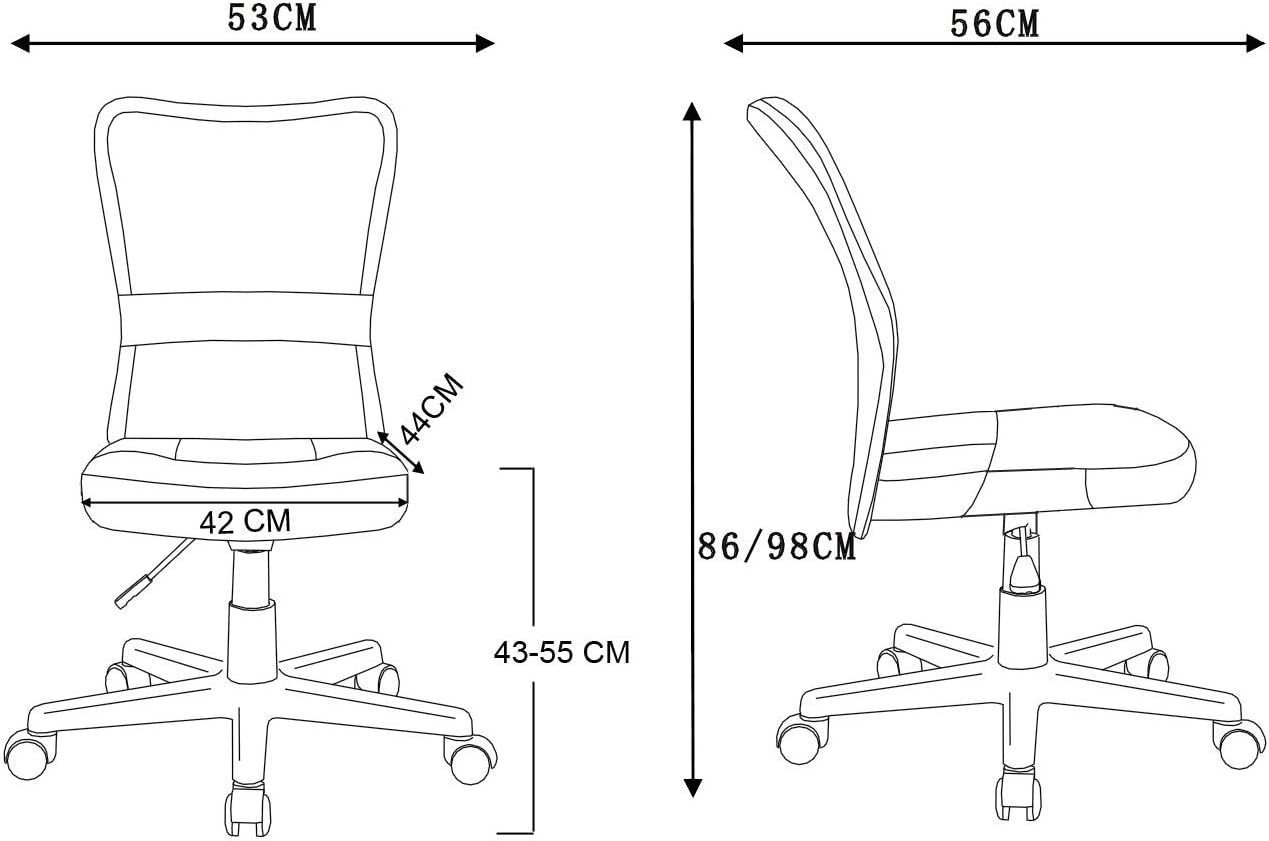 H-298F, Rosa
