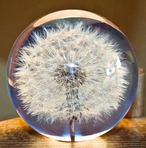 Pusteblume Briefbeschwerer Ø 9cm, Durchmesser*9cm