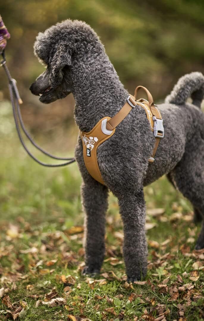 Weekend Warrior Hundegeschirr, Desert / 40-45 cm