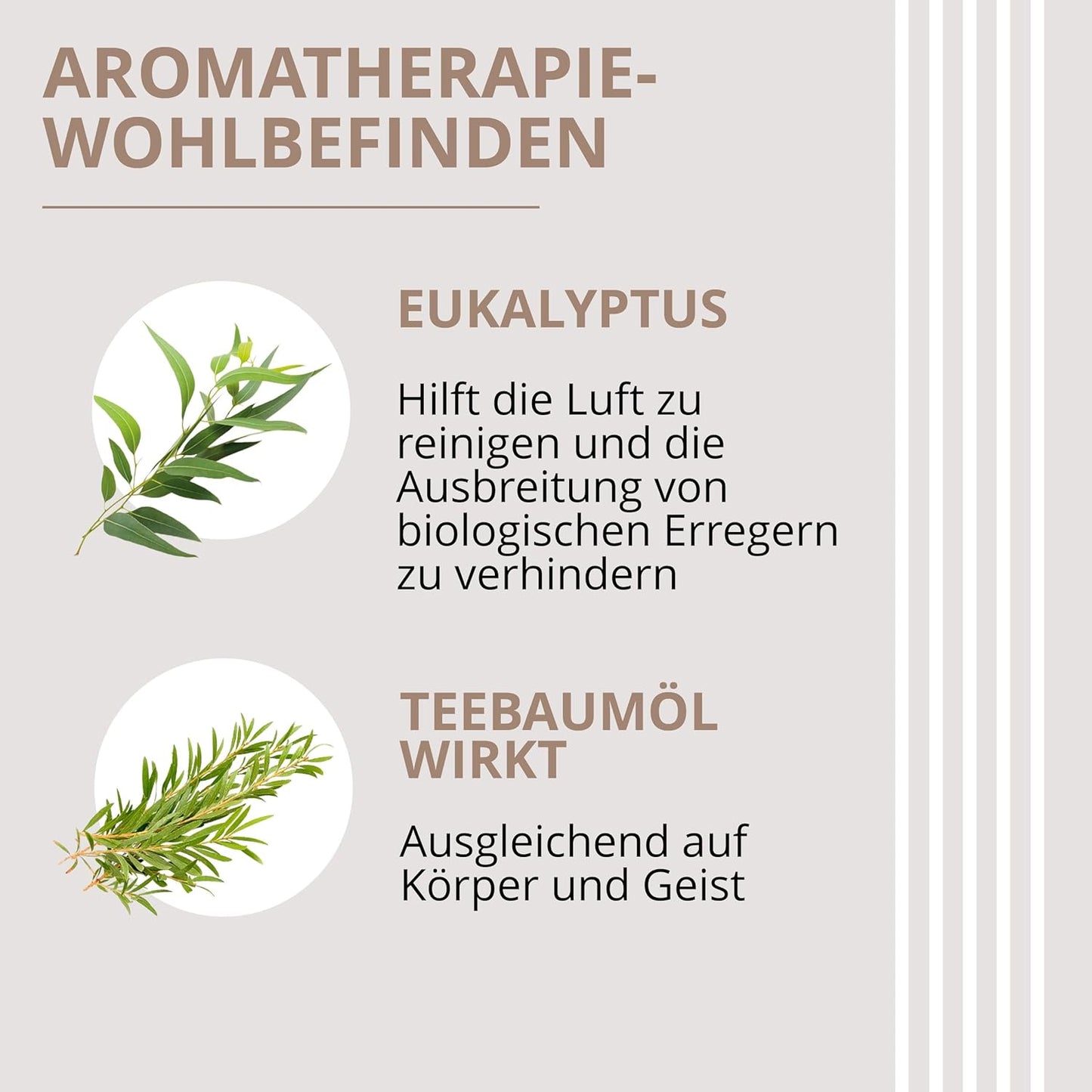 Luftentfeuchter mit Aromabeutel (6 x 500 ml), Beutel mit Haken 6 Pack mit 500 ml