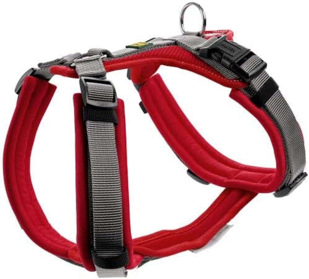 Geschirr Maldon, Rot XS