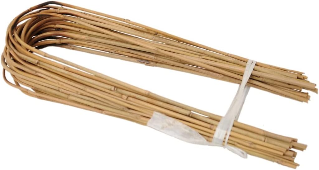 Gebogene Bambusstifte, 25 Stück, 60 cm, 25, 60 cm 8/10 mm