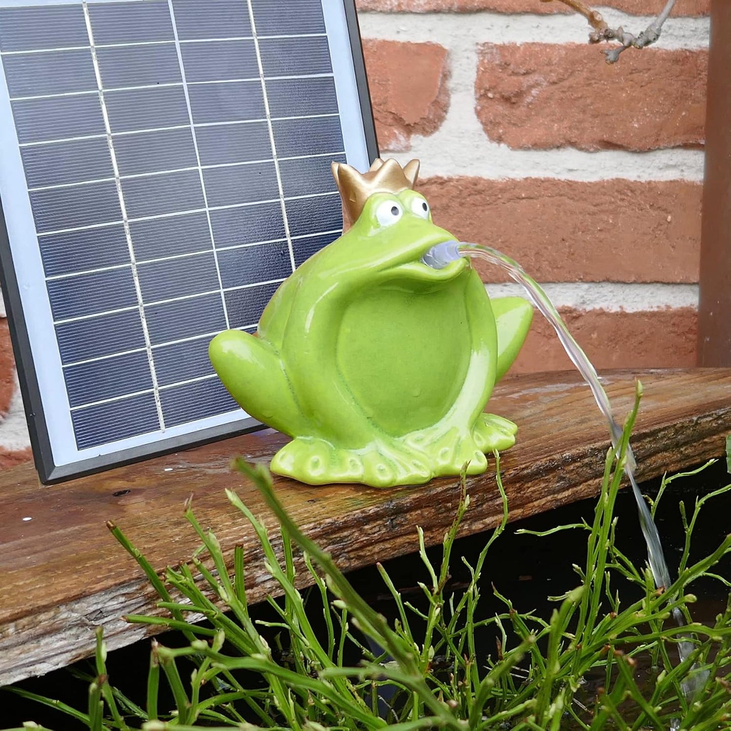Solar-Wasserspeier Frosch