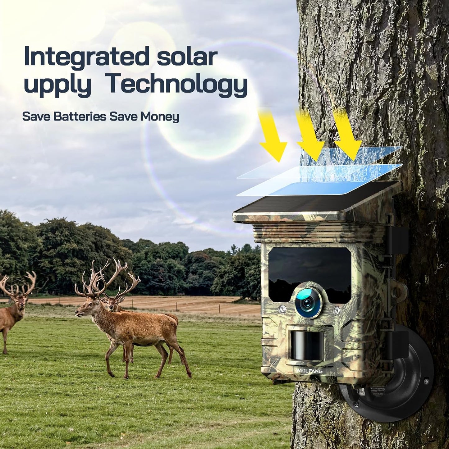 4K Solar Wildkamera