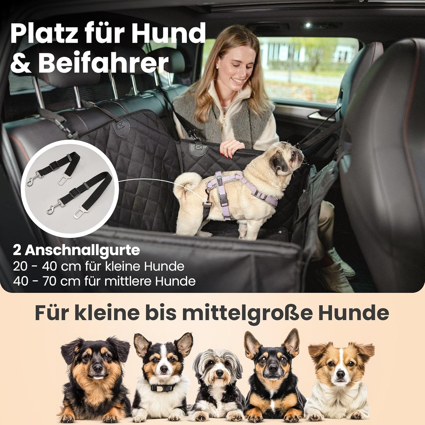 Hunde-Autositz für Rückbank mit Hundedecke und Sicherheitsgurt