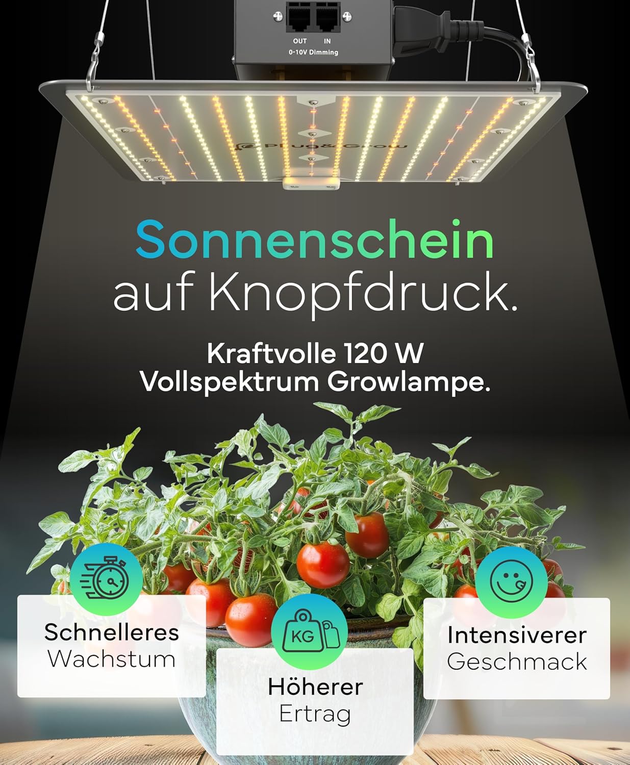 LED Grow Lampe mit Timer und Vollspektrumlicht
