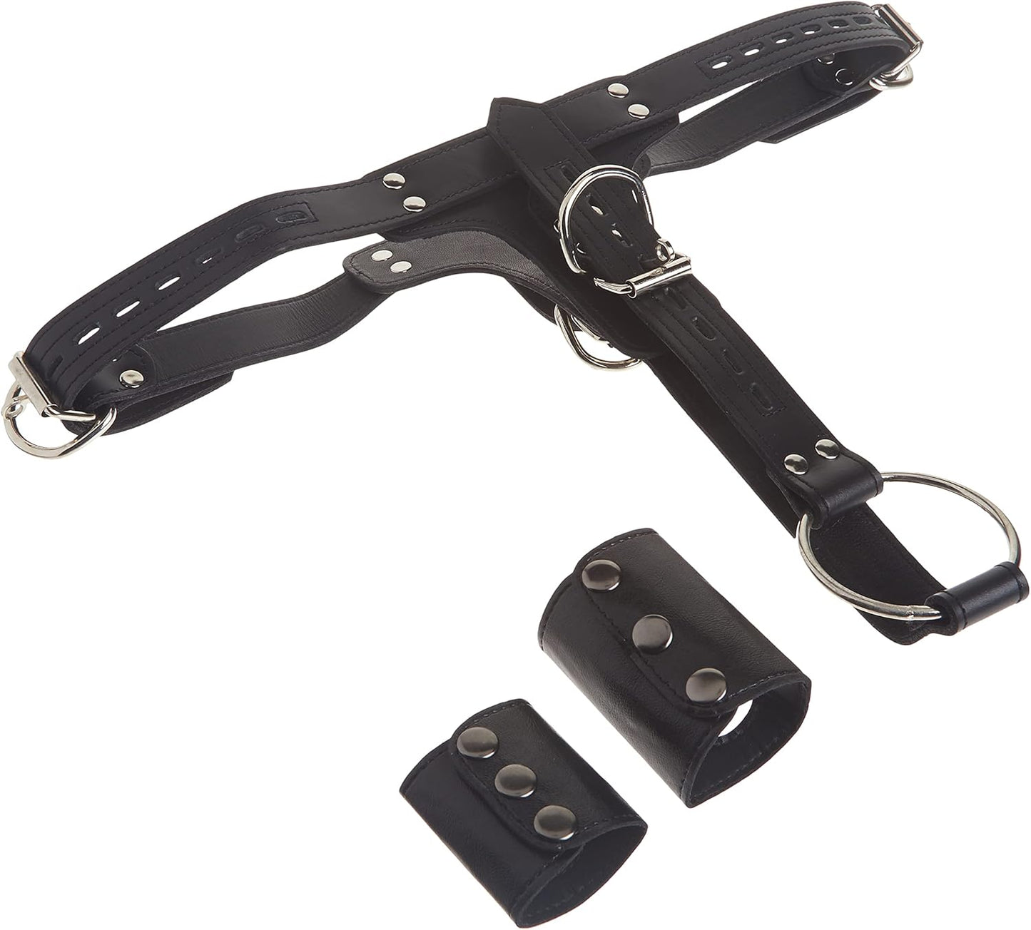 Premium Locking Leder-Cockring & Plug Harness