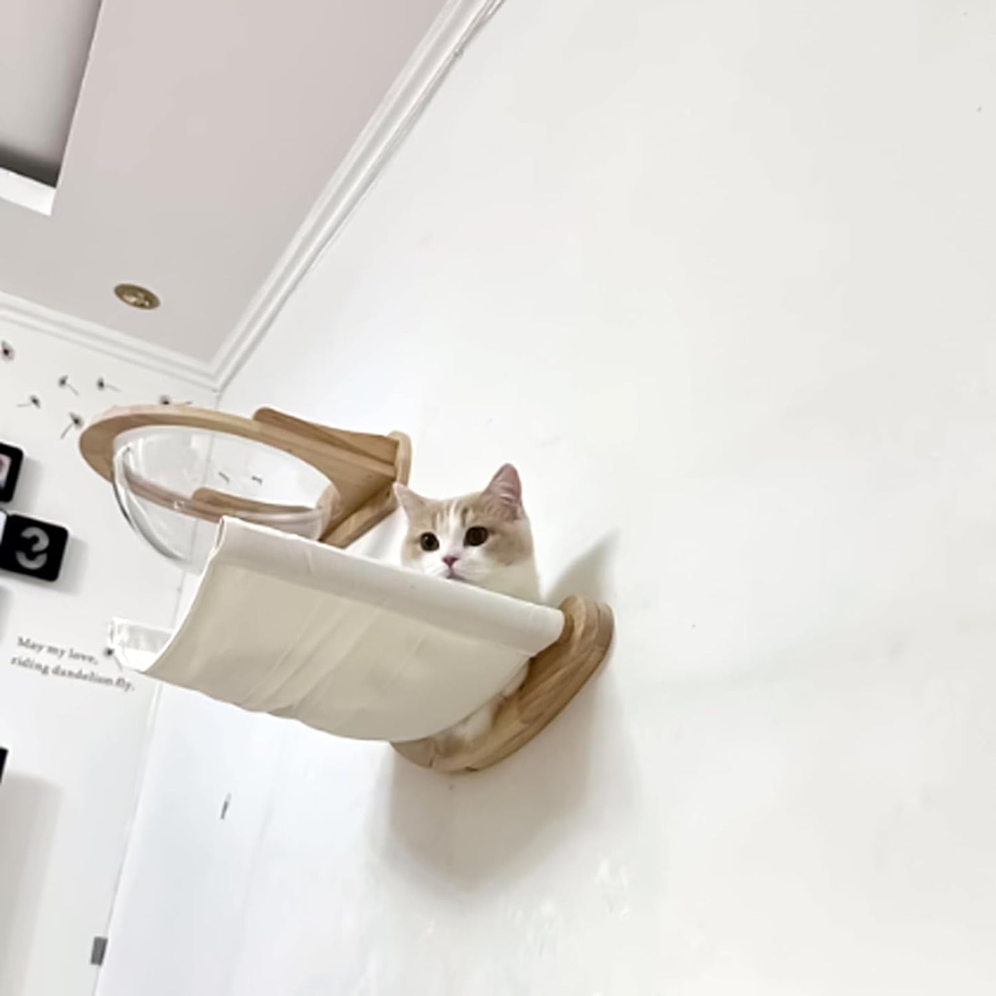 Katzen-Hängematte für die Wandmontage