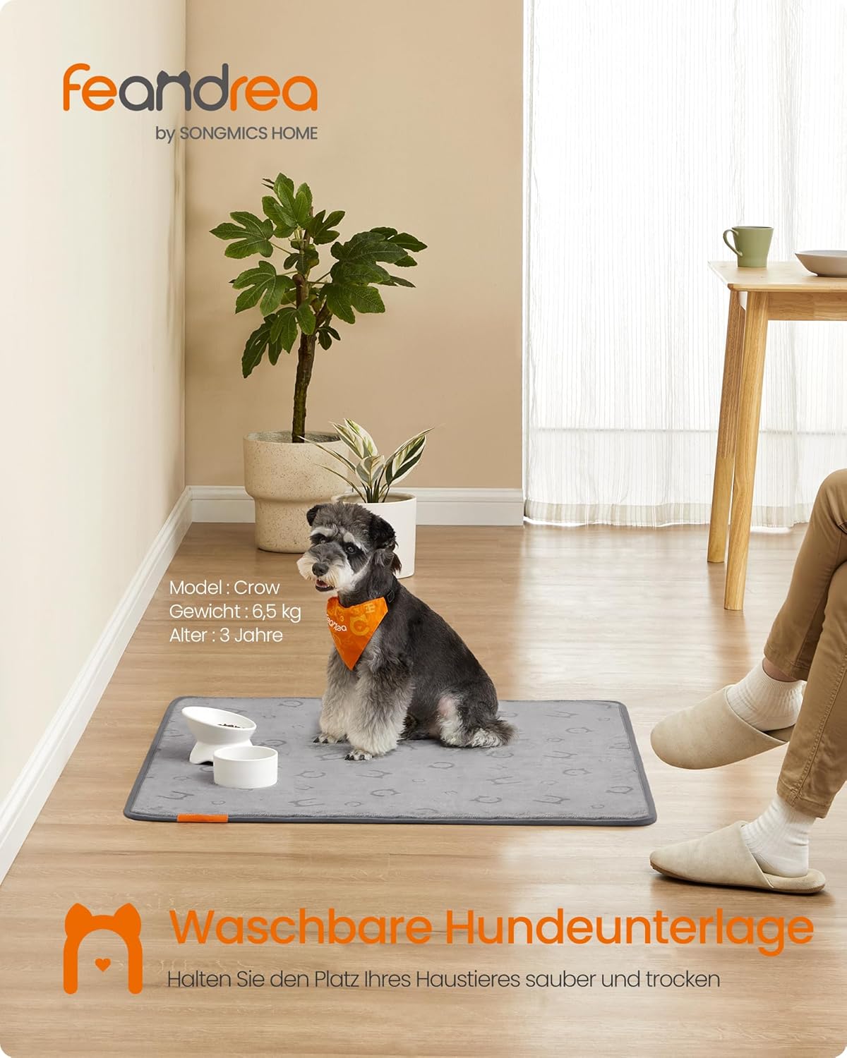 2er-Set Hundedecken, M (91 x 86 cm) Taubengrau
