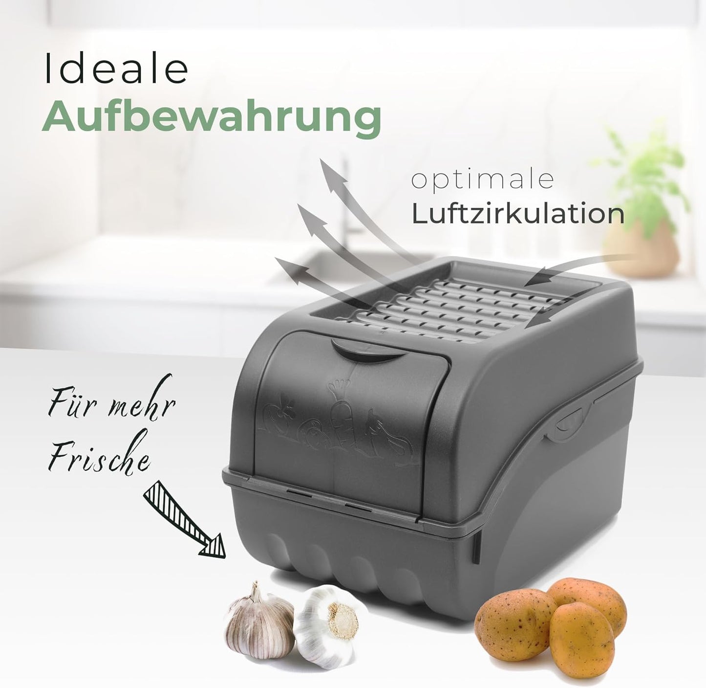 2er-Set stapelbare Zwiebelbox, 3,5 Liter
