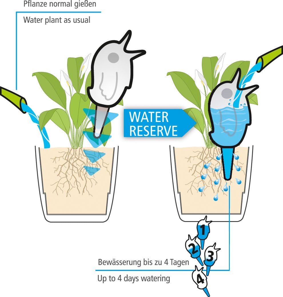 8er-Set Wasserspender Bördy S