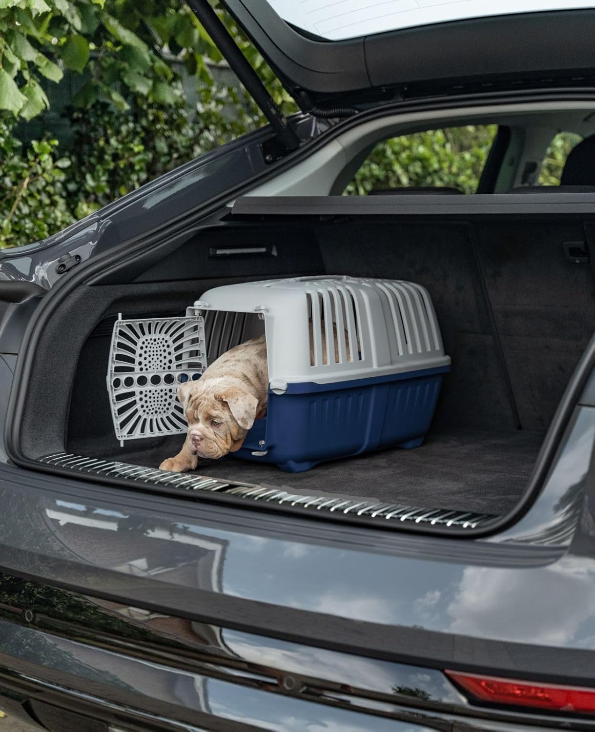 Hundetransportbox mit Schliesssystem, Dunkelblau L 55 x B 36 x H 36 cm