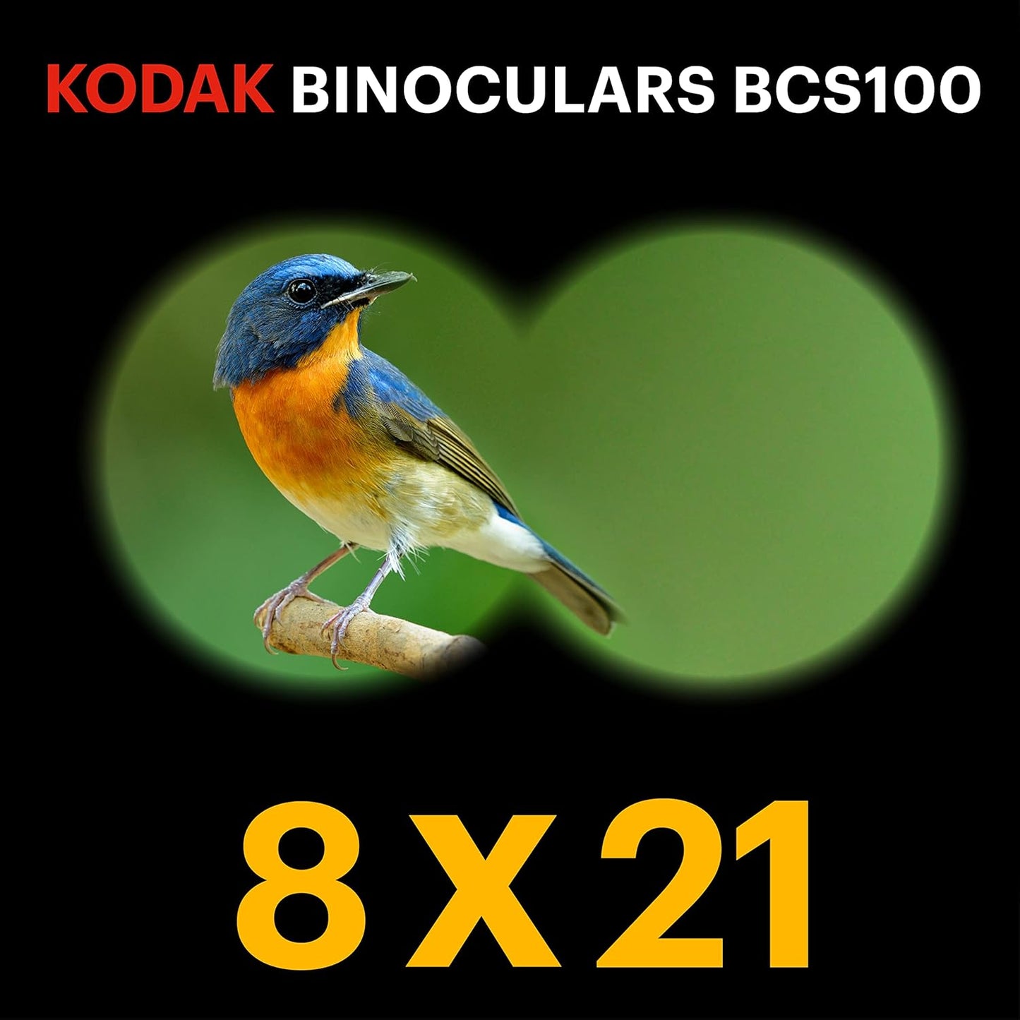 Fernglas Bcs100, BCS100-BLAU