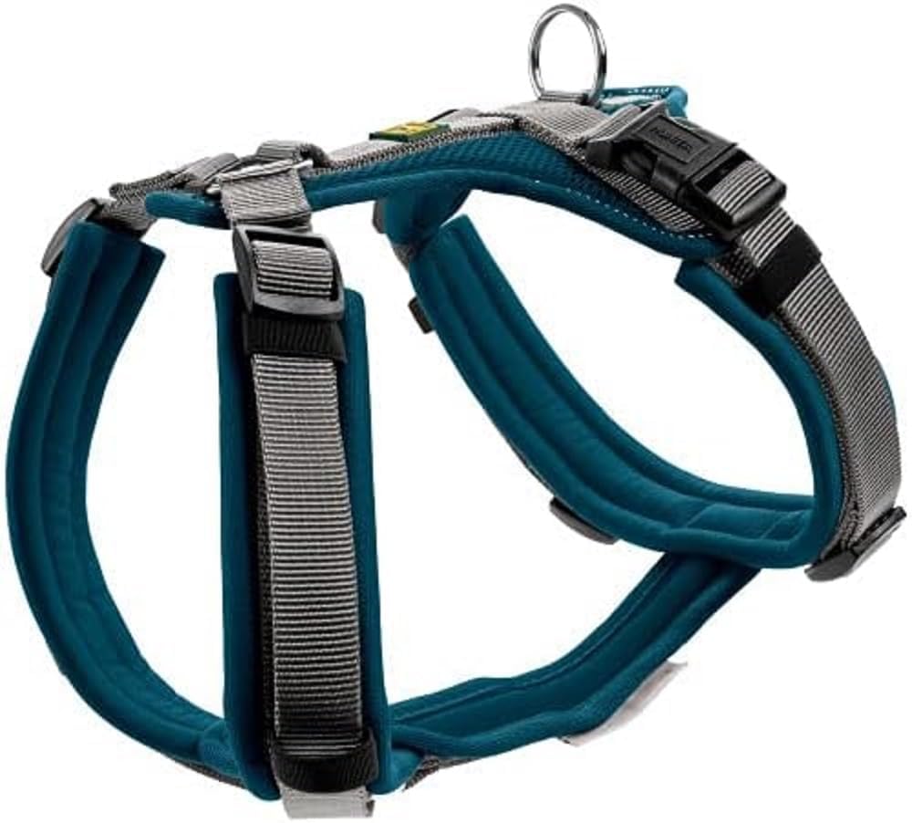 Hundegeschirr Maldon, petrol/grau XS