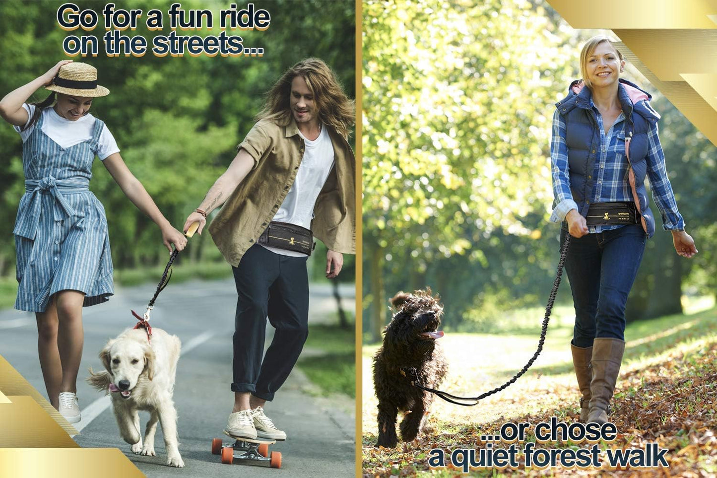 2 in 1 Joggingleine für Hunde mit Doppelgriff, Stossdämpfer und Bauchgurt, Premium-Gold Für ein Hund