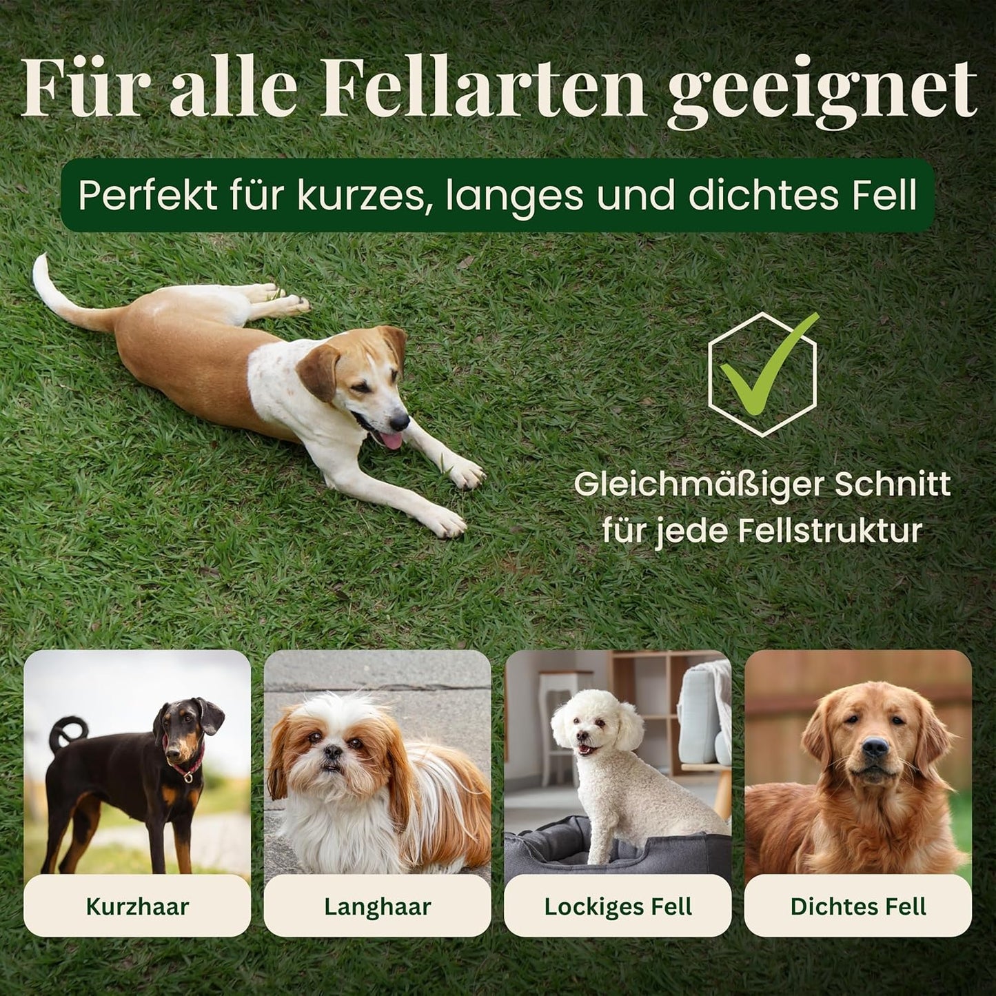Hundeschermaschine
