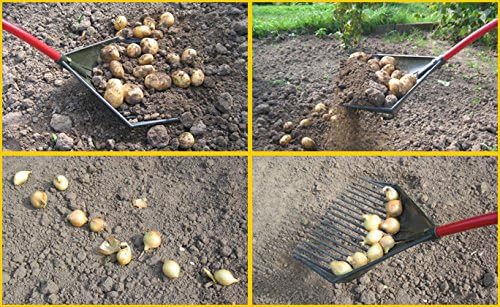 3-in-1 Gartengerät: Harke, Rechen, Schaufel