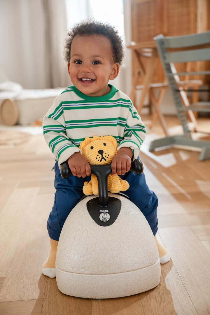 3in1 Babyroller
