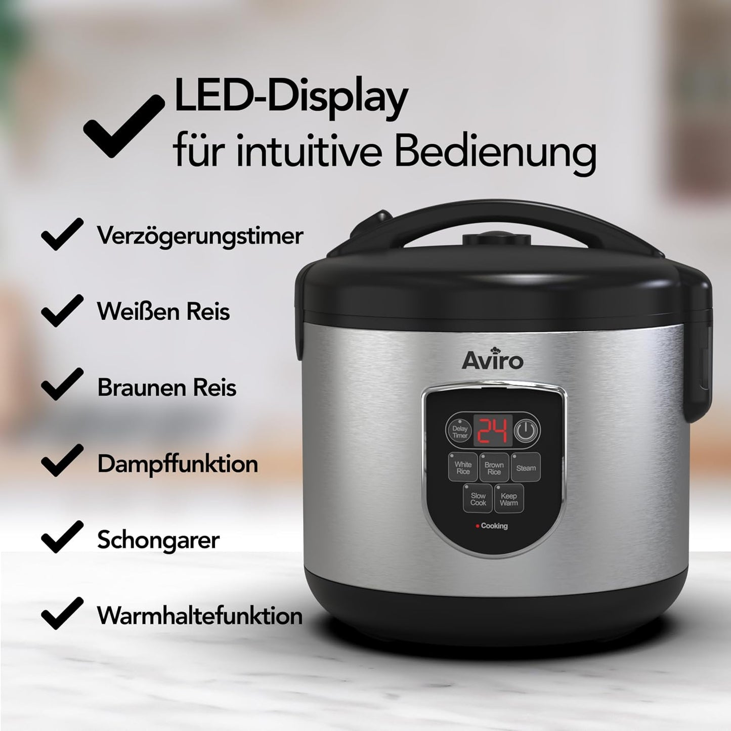 Reiskocher & Slow Cooker