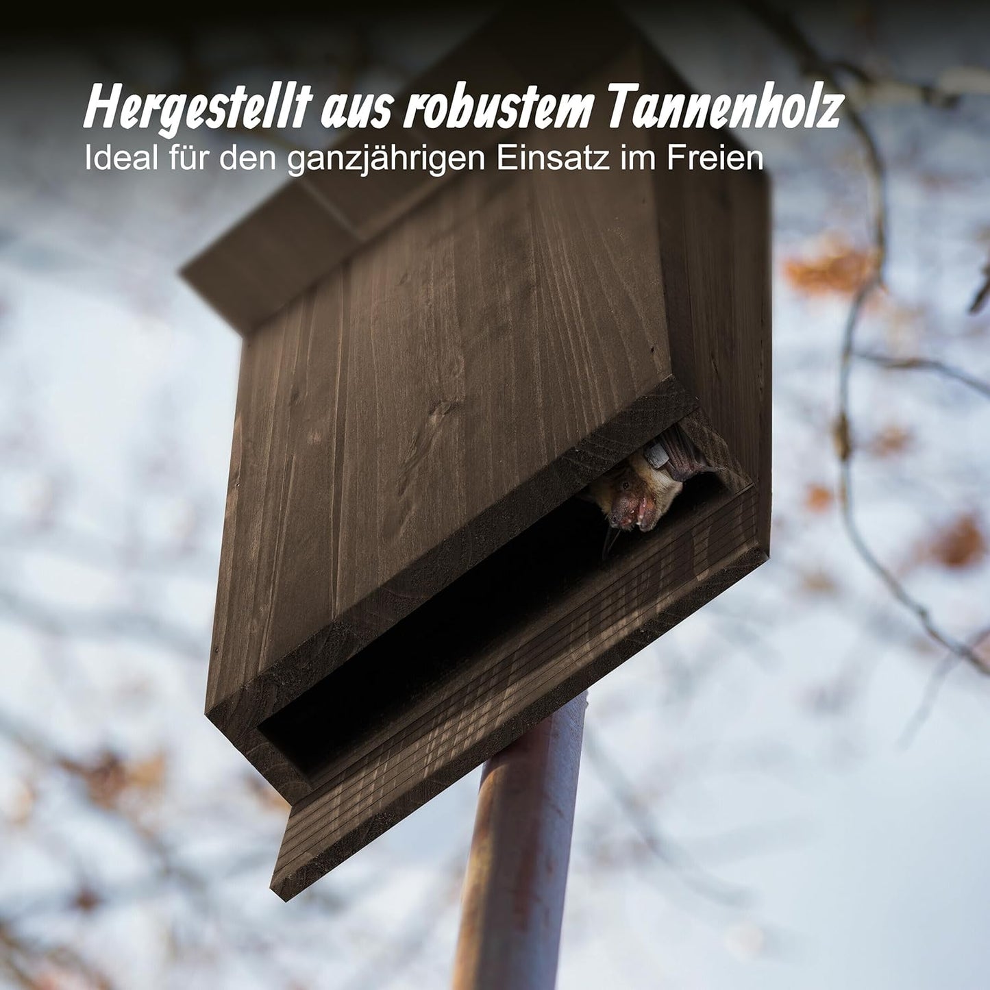 2er-Set Fledermauskasten
