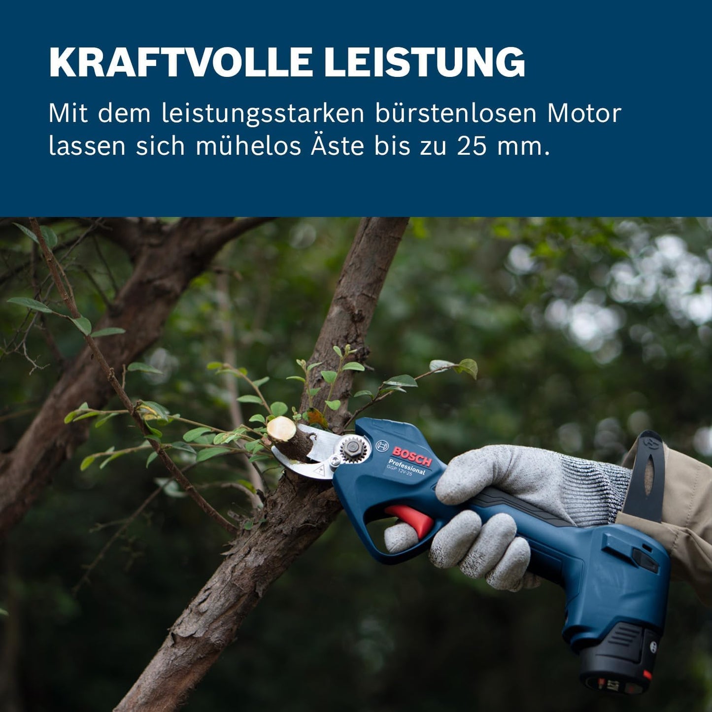 Astschere GGP 12V-25 mit Akku