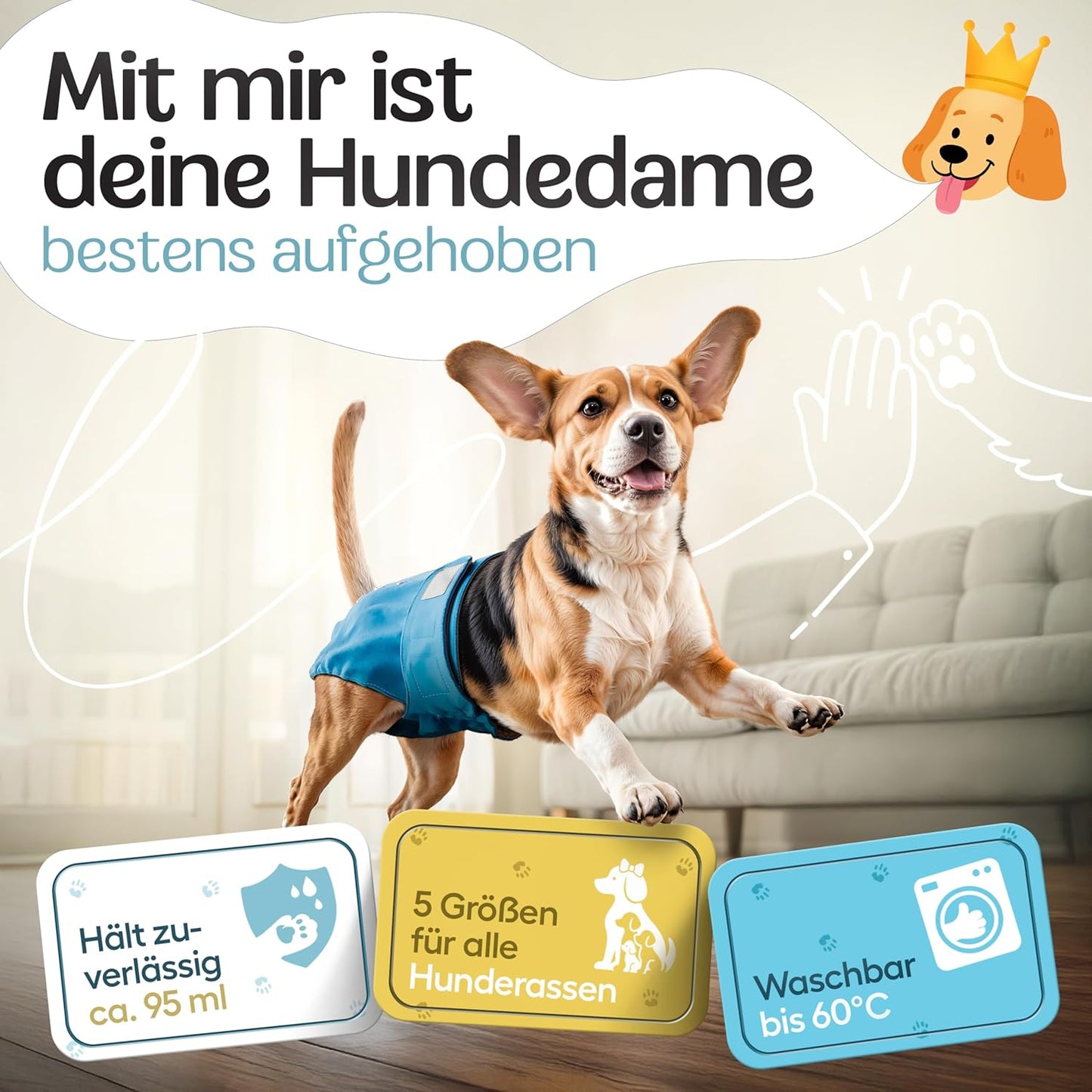 Hundewindeln für Hündinnen, Rot | Blau | Grün S (29 - 40cm)