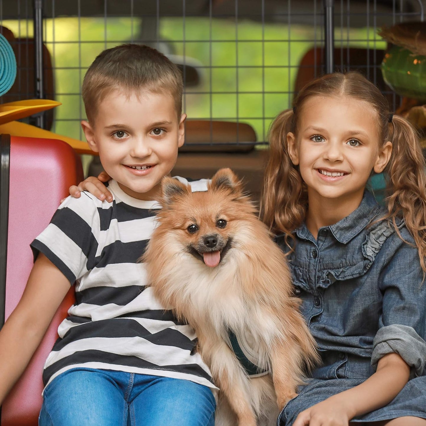 Hundegitter für Auto, verstellbare Breite