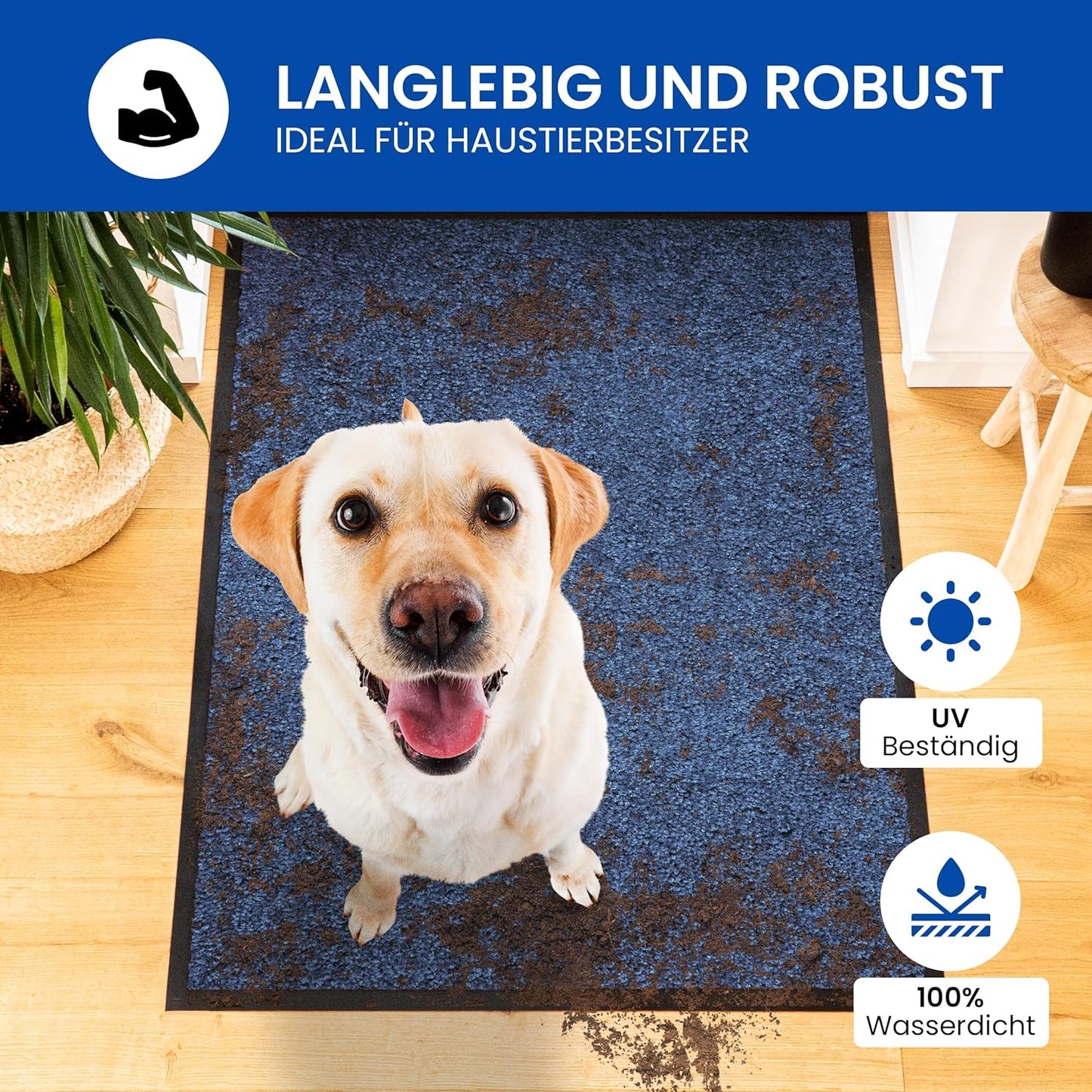 Schmutzfangmatte, 60x80 Blau