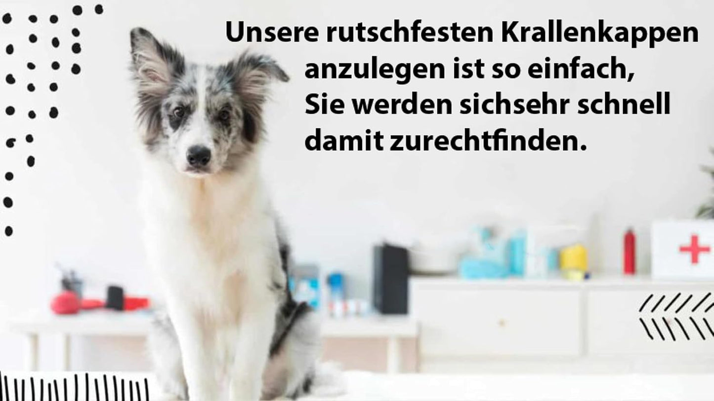 Krallenkappen für Senioren-Hunde, 24 Stück, XXL
