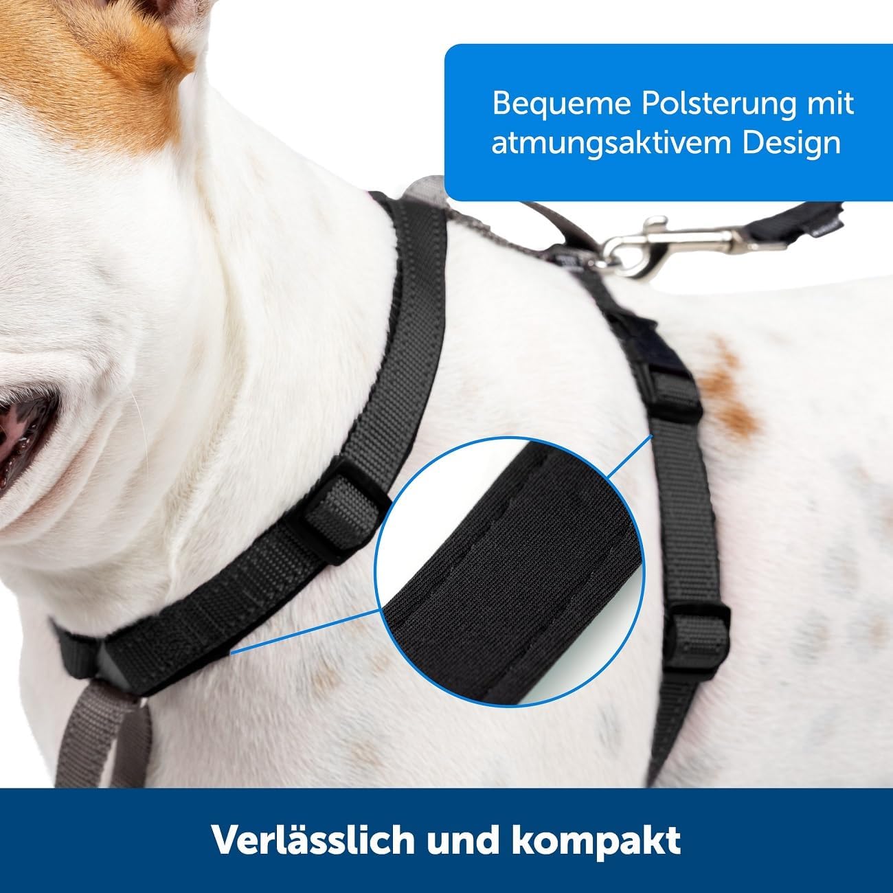 3-in-1-Geschirr und Rückhaltegurt, L
