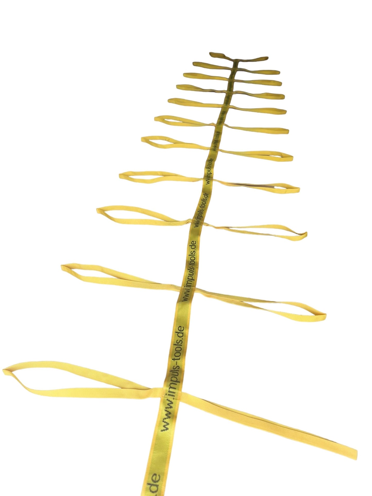 Team Slackline