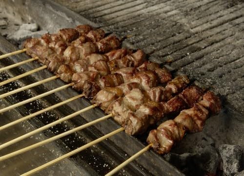 Holzkohlegrill für Fleischspiesse