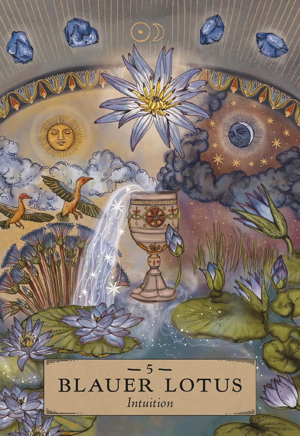 Orakelkarten-Set Herbal Astrology, Gebundenes Buch