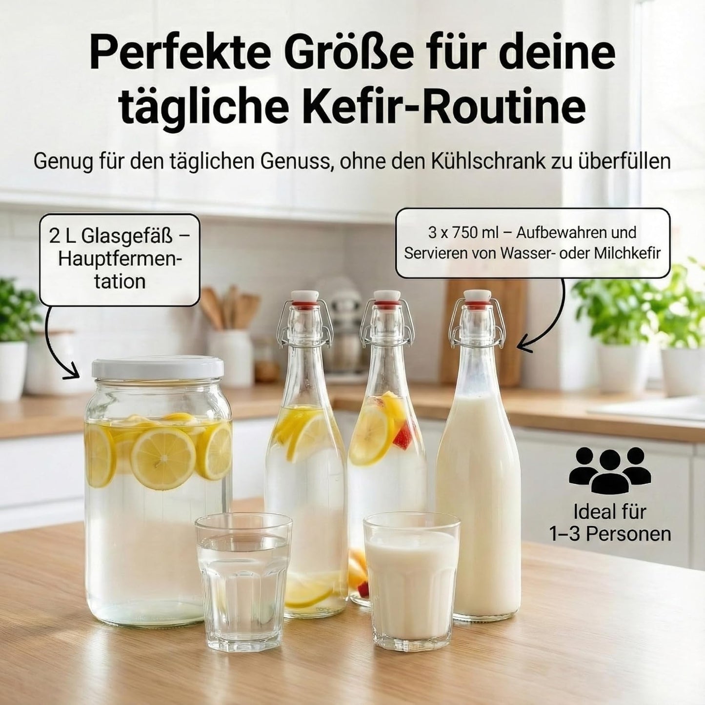 Kefir Fermentations-Set