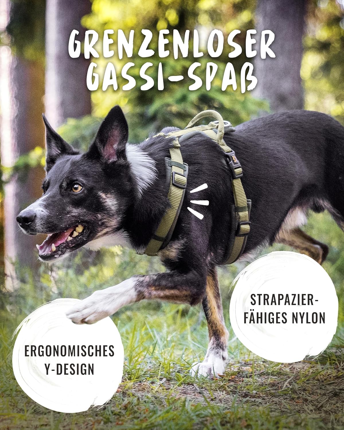 Hundegeschirr Bella, M Khaki