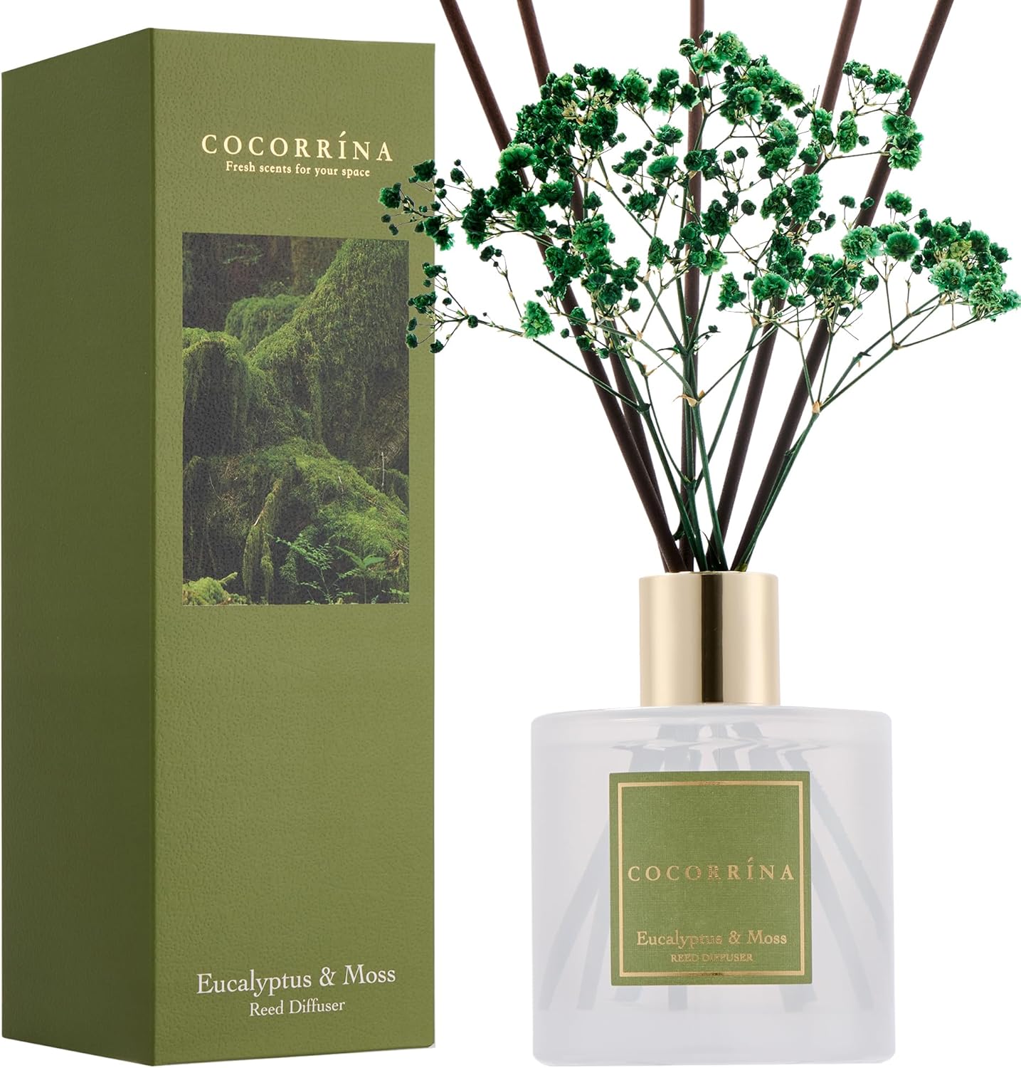 Raumduft mit ätherischen Ölen, Eucalyptus & Moss, Eucalyptus & Moss Raumduft/200ML/1 Stück