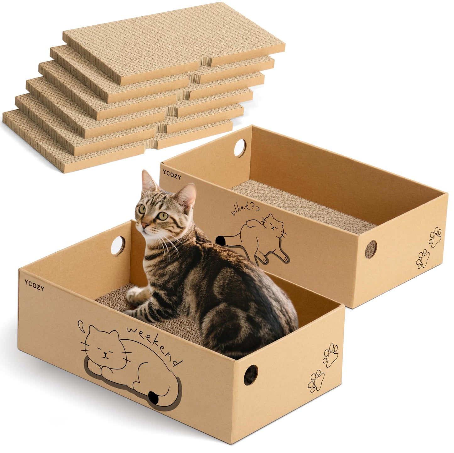Kratzbrett-Set für Katzen, 2 Box
