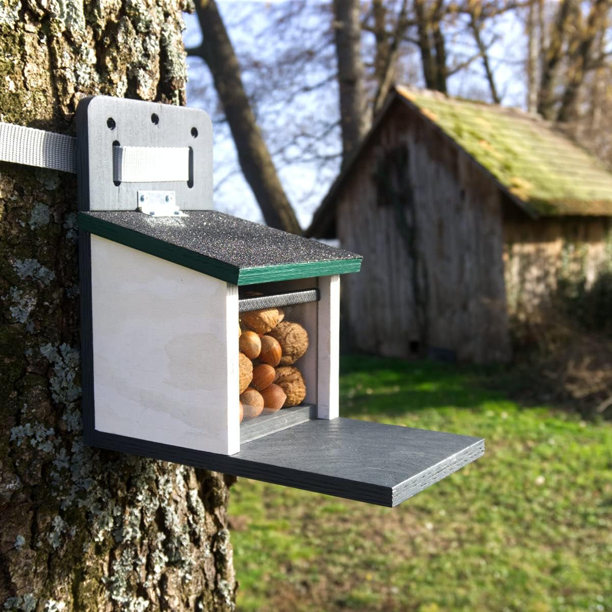 Futterhaus Eichhörnchen