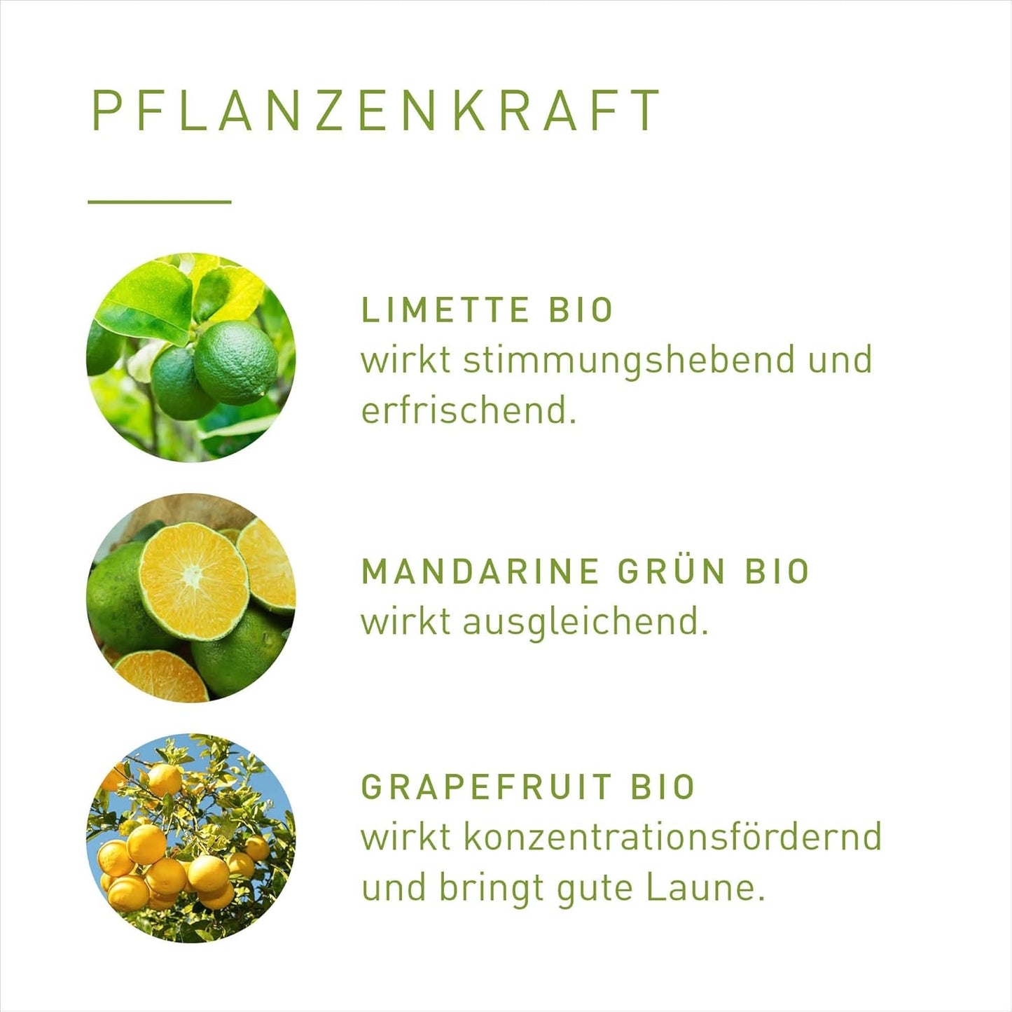 Zitrusdüfte Saunaöl 100ml, Zitrusfreude bio neue Flasche