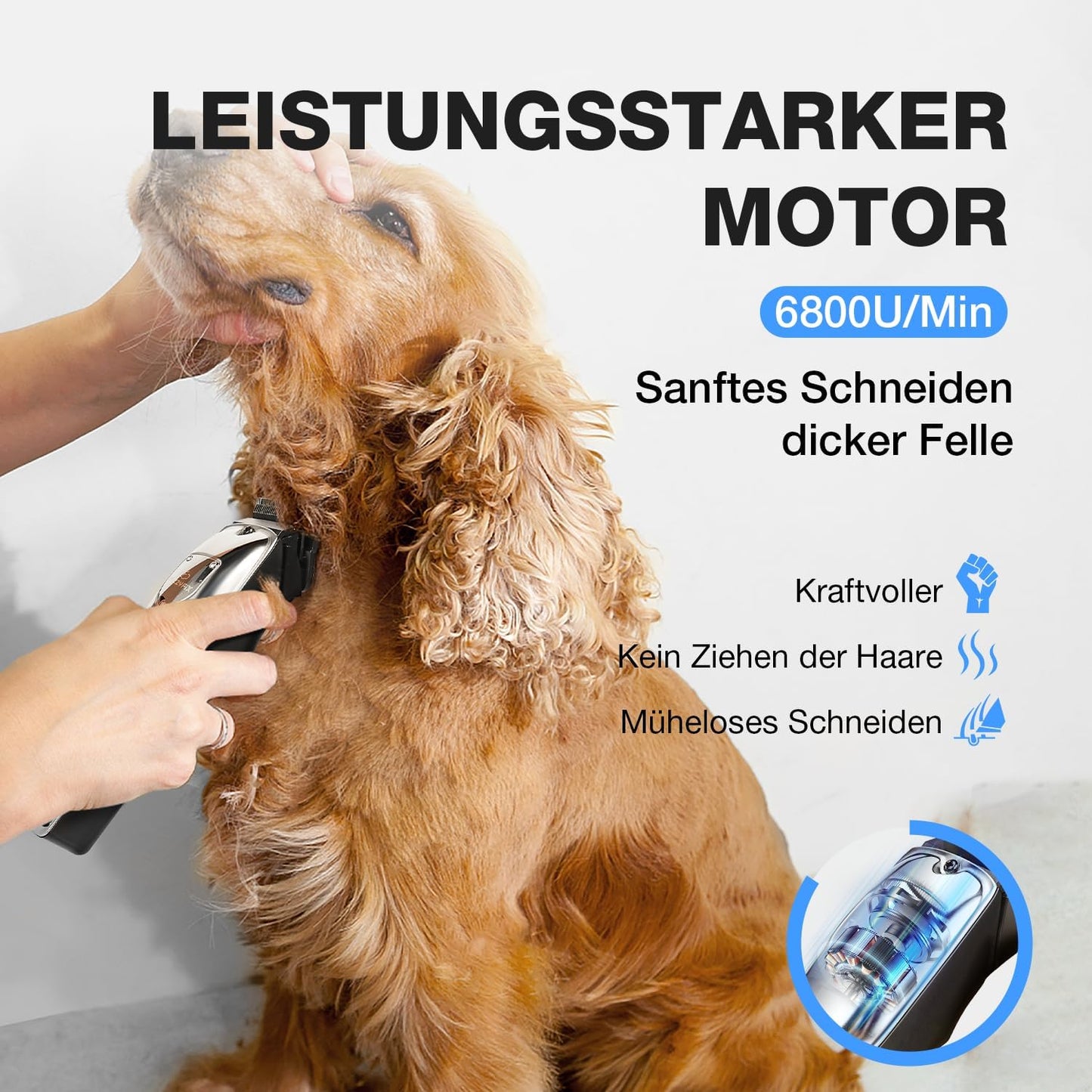 Hundeschermaschine mit Zubehör, Silber