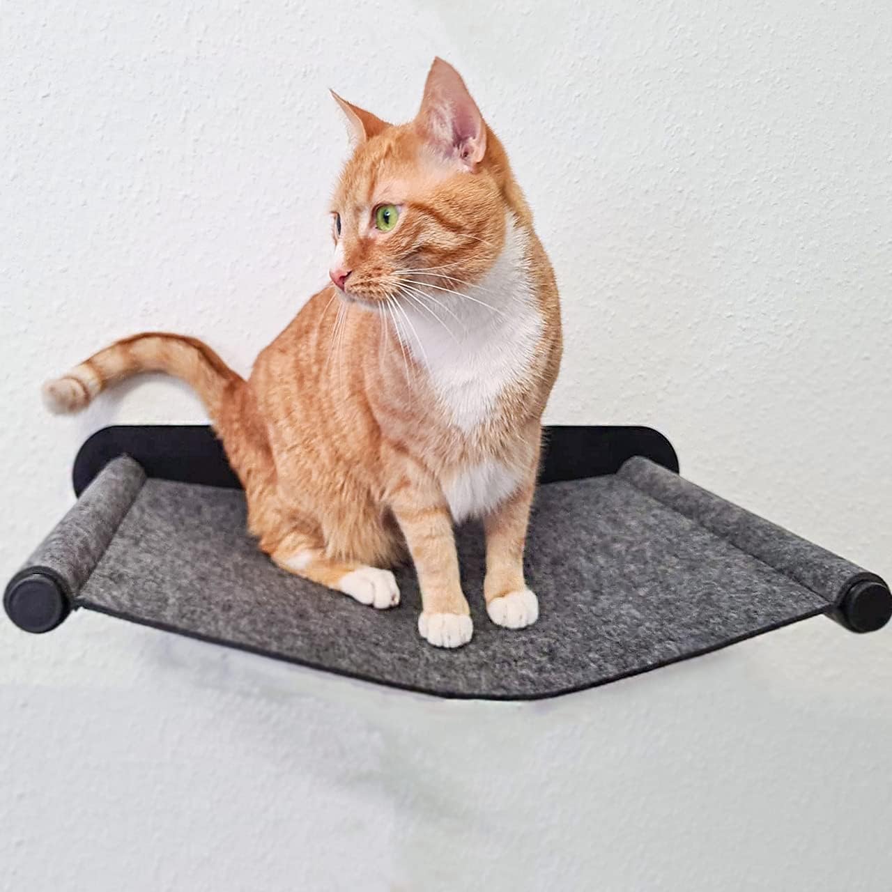 Katzenhängematte mit Wandmontage