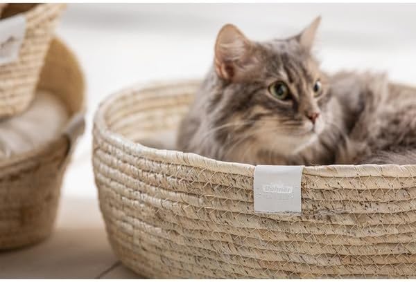 Katzenbett, Weiß/Beige L 38 x B 38 x H 13 cm