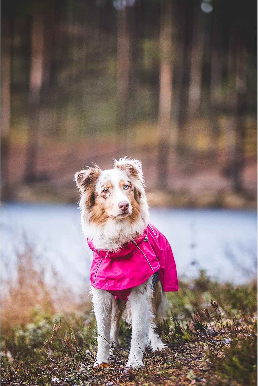 Regenmantel Hase für Hunde, grössenverstellbar, reflektierende Elemente, Himbeere 25