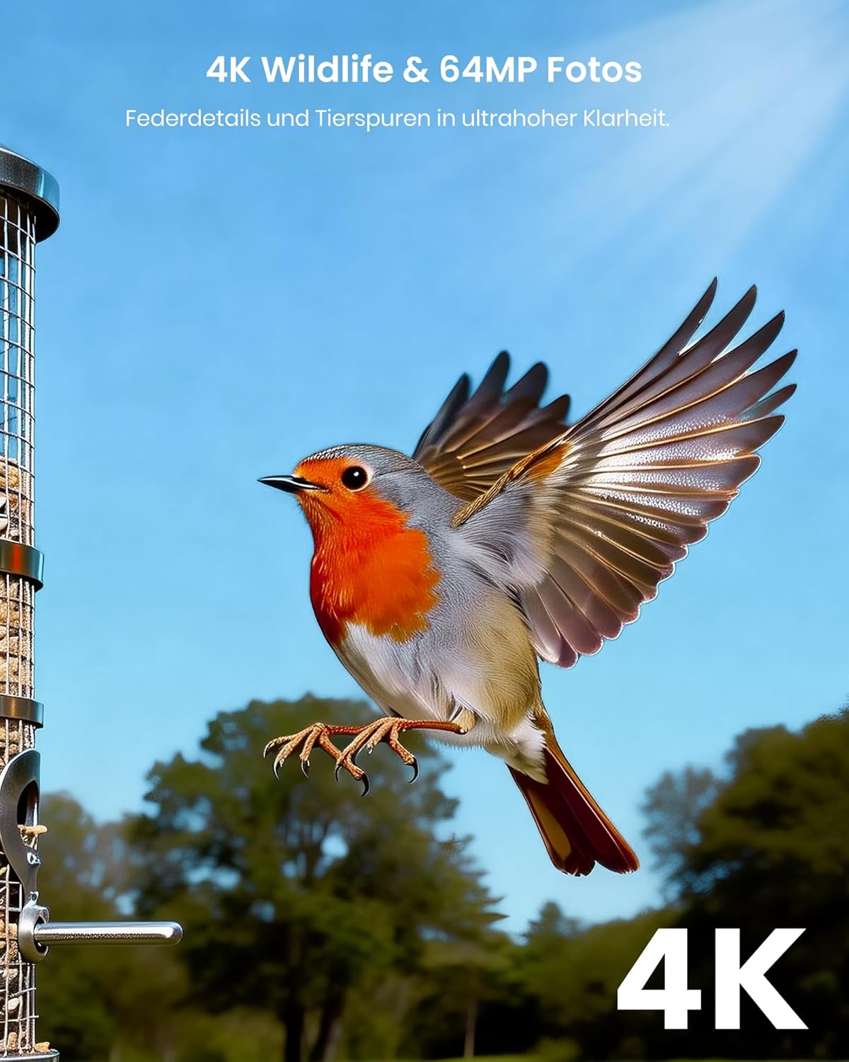 4K UHD Solar-Wildkamera, Aschgrau