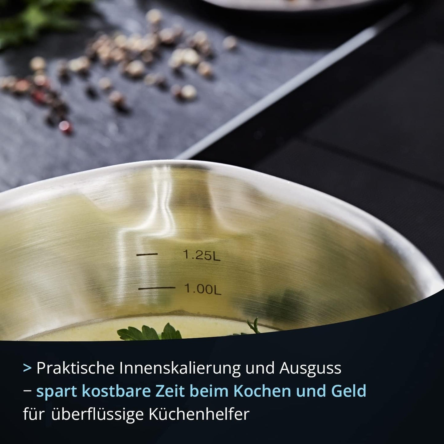 XXL Edelstahl Kochtopf 10L mit Glasdeckel, 26 cm