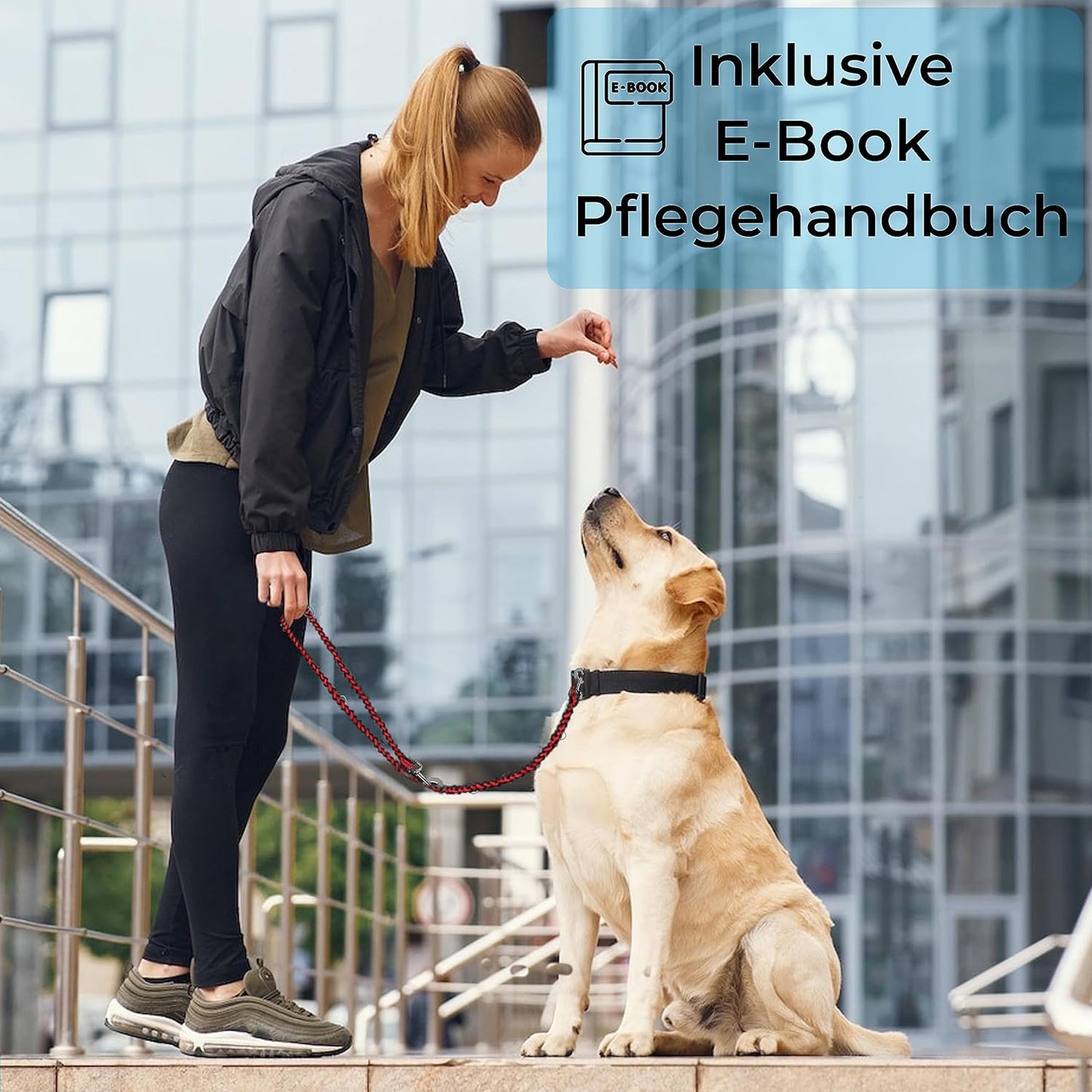 Reflektierende Hundeleine, rot - schwarz / 2 m Hunde ab 15 kg