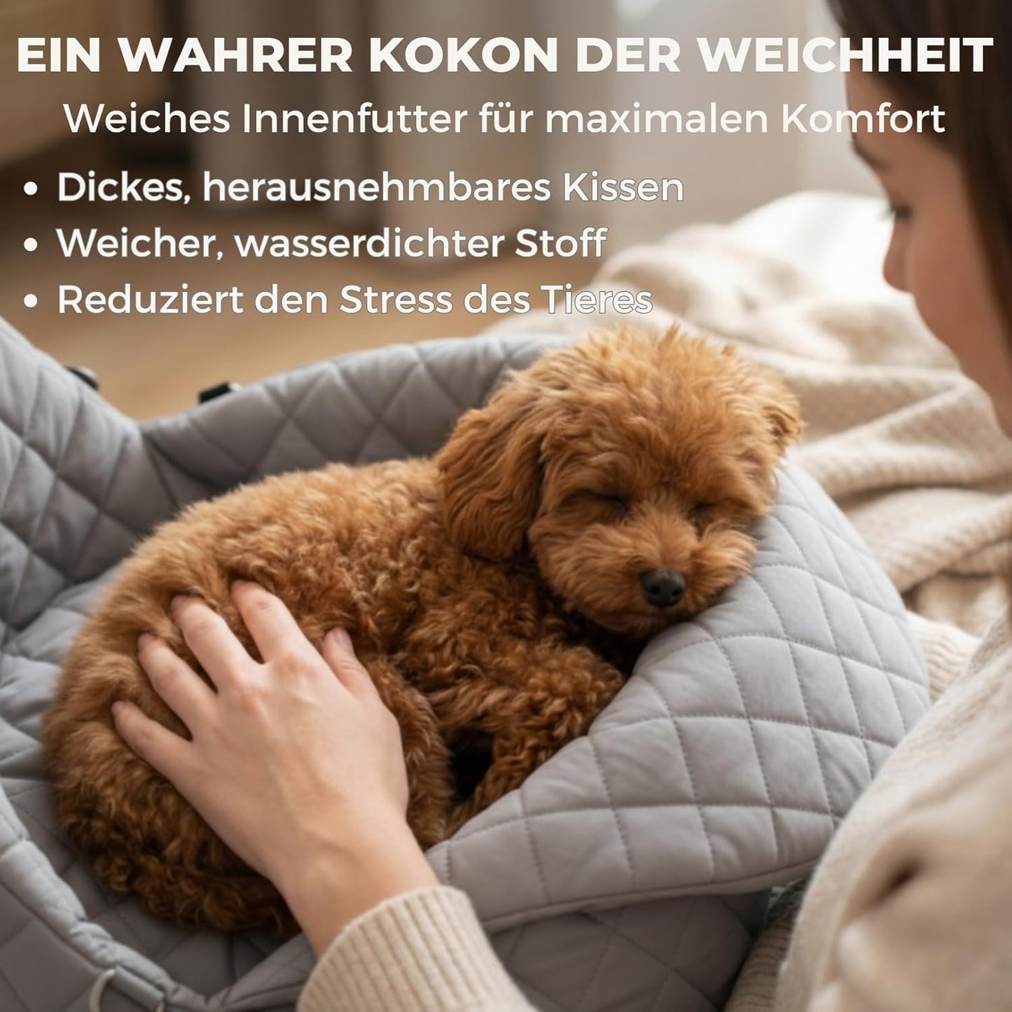 Hundetransporttasche mit Sicherheitsleine, Grau