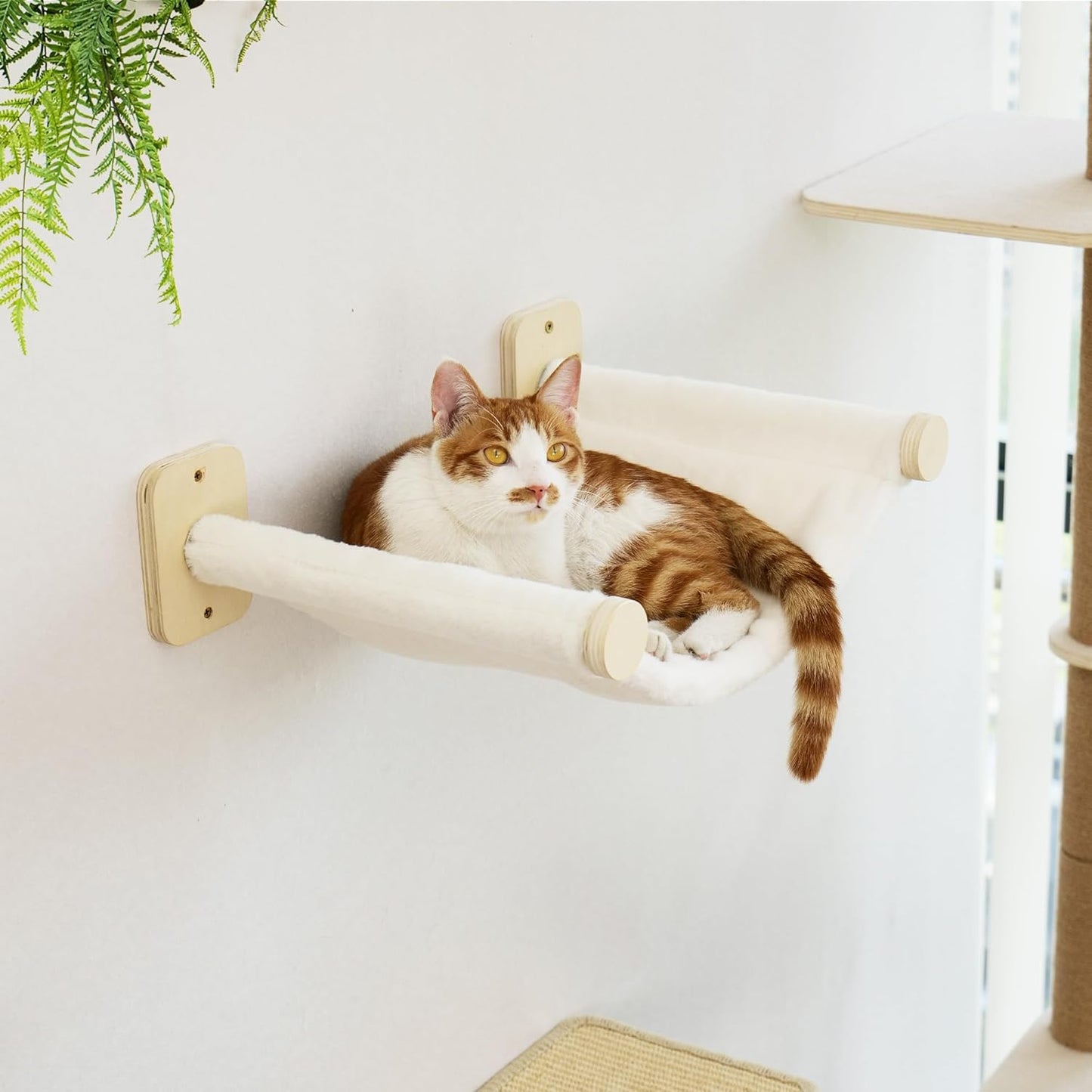 Kletterwand-Set für Katzen mit Hängematte und Treppen, kletterwand Set